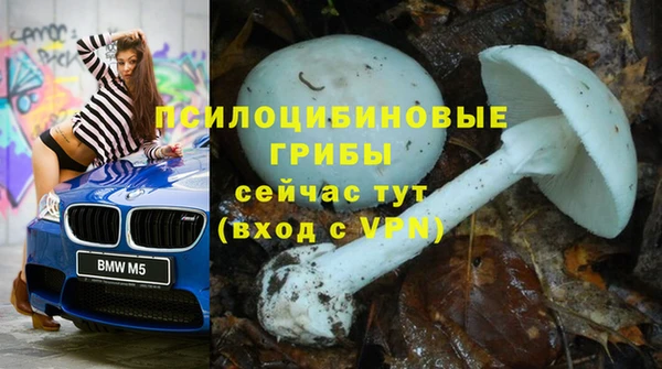 МДМА Верхний Тагил