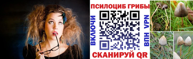 что такое наркотик  Заозёрный  ОМГ ОМГ ТОР  Псилоцибиновые грибы ЛСД 